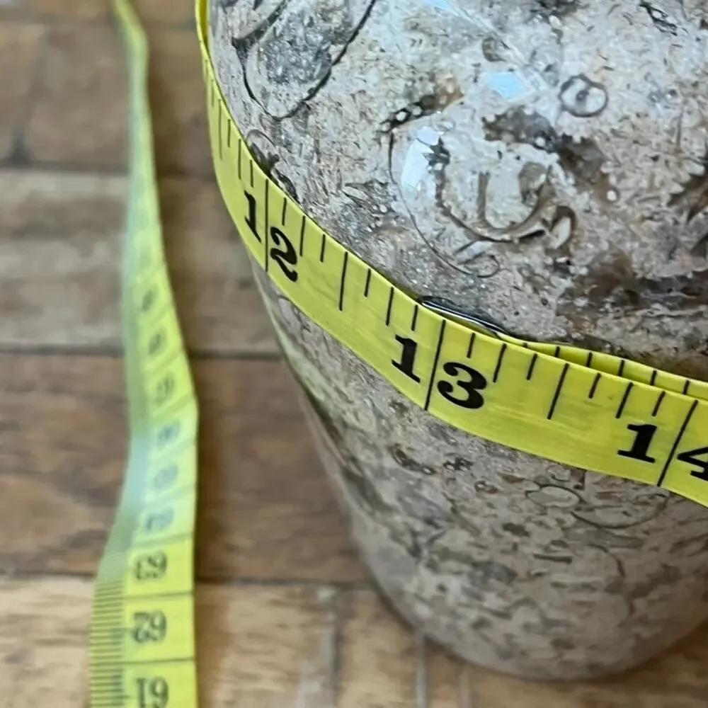 Small Decorative Fossil Stone Vessel 6
